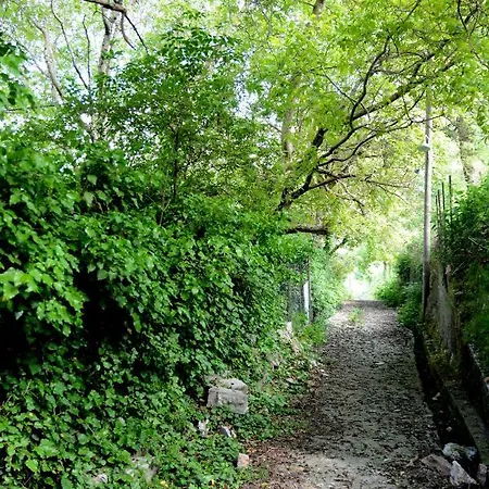 Holiday home Casa Caterina Stone Built Mountain *